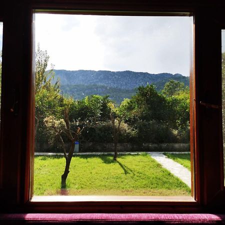 Appartement Seker Bungalov à Çıralı Extérieur photo