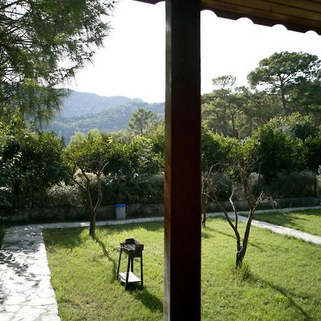 Appartement Seker Bungalov à Çıralı Extérieur photo