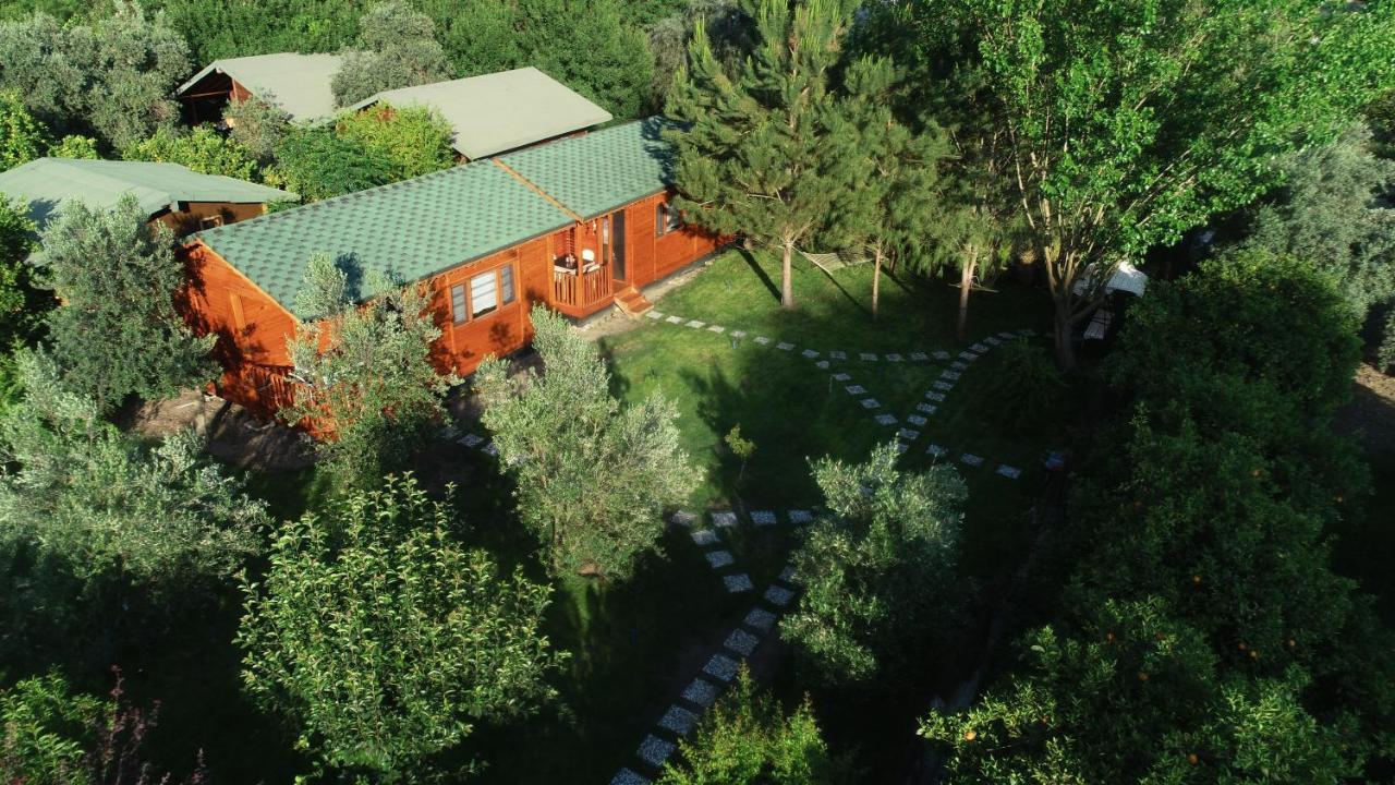 Appartement Seker Bungalov à Çıralı Extérieur photo