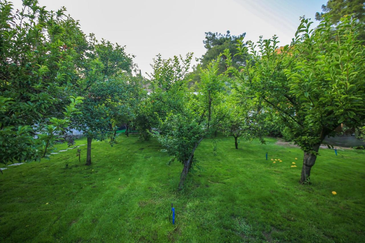 Appartement Seker Bungalov à Çıralı Extérieur photo