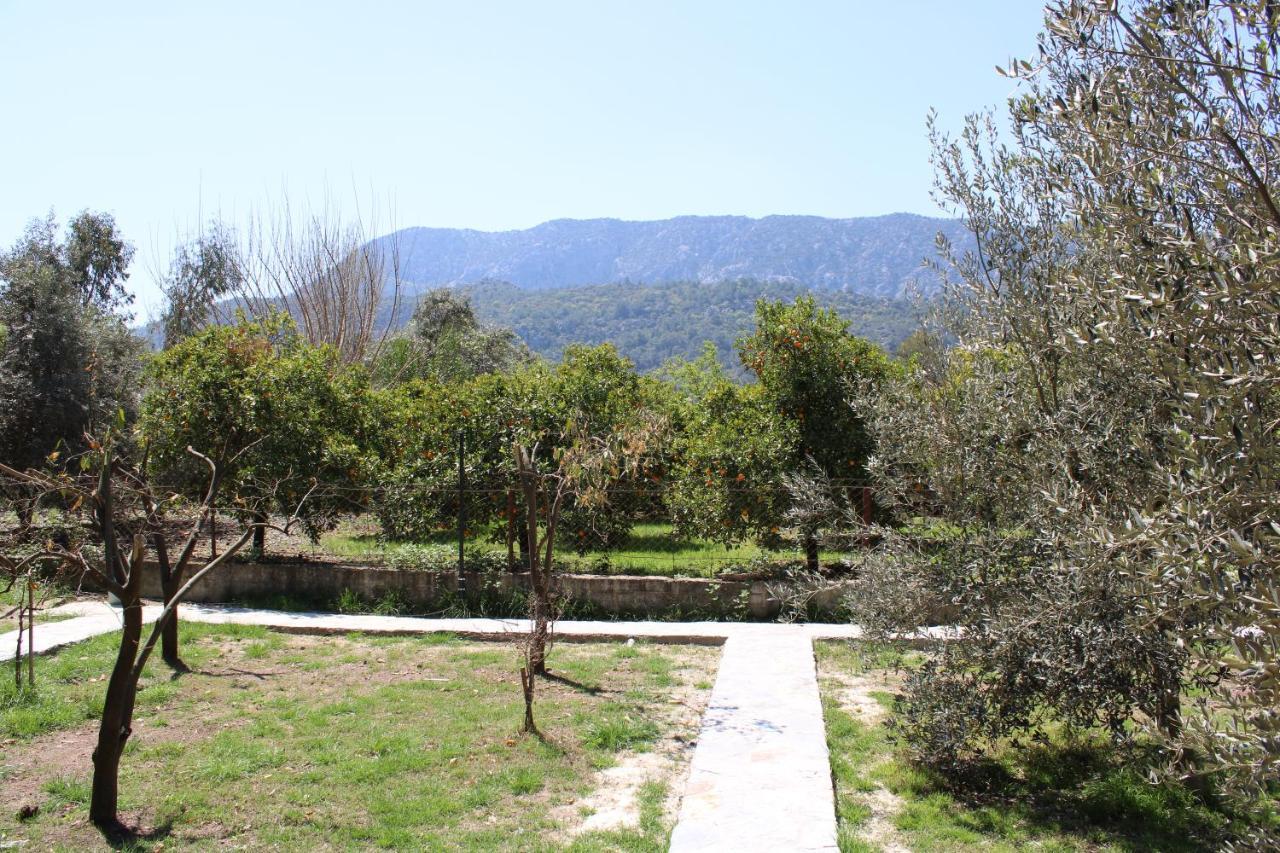 Appartement Seker Bungalov à Çıralı Extérieur photo