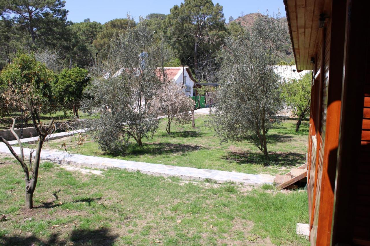 Appartement Seker Bungalov à Çıralı Extérieur photo