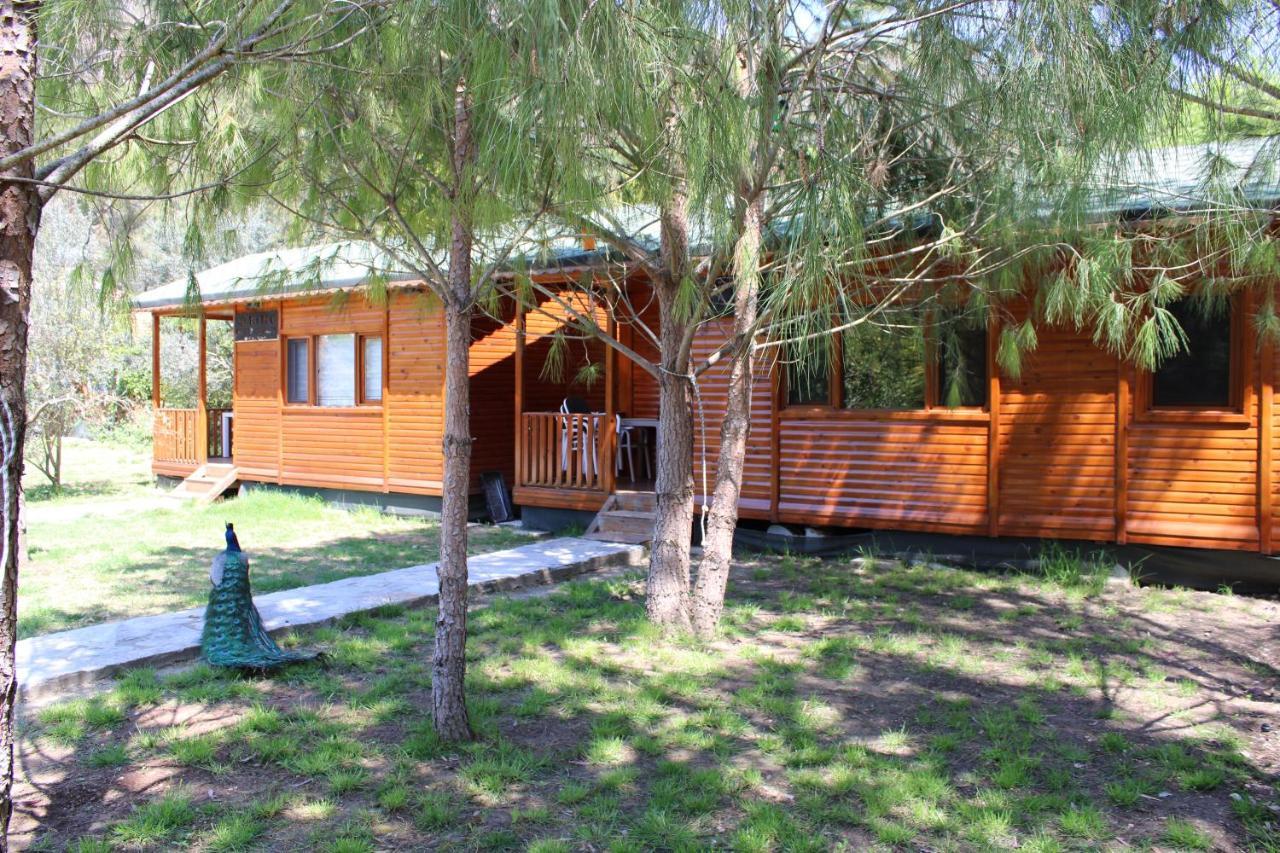 Appartement Seker Bungalov à Çıralı Extérieur photo