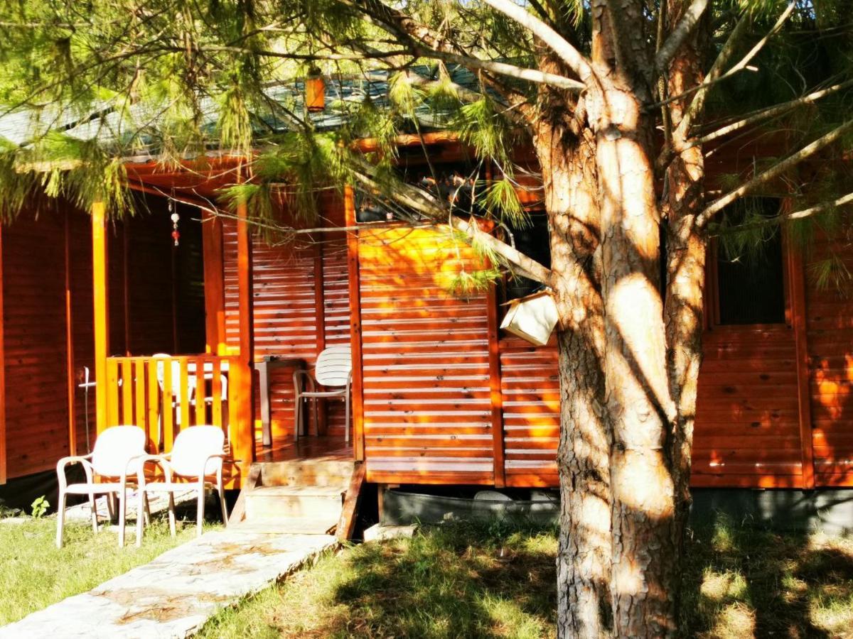 Appartement Seker Bungalov à Çıralı Extérieur photo