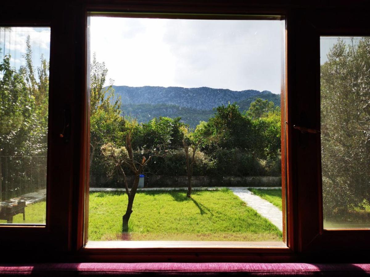 Appartement Seker Bungalov à Çıralı Extérieur photo