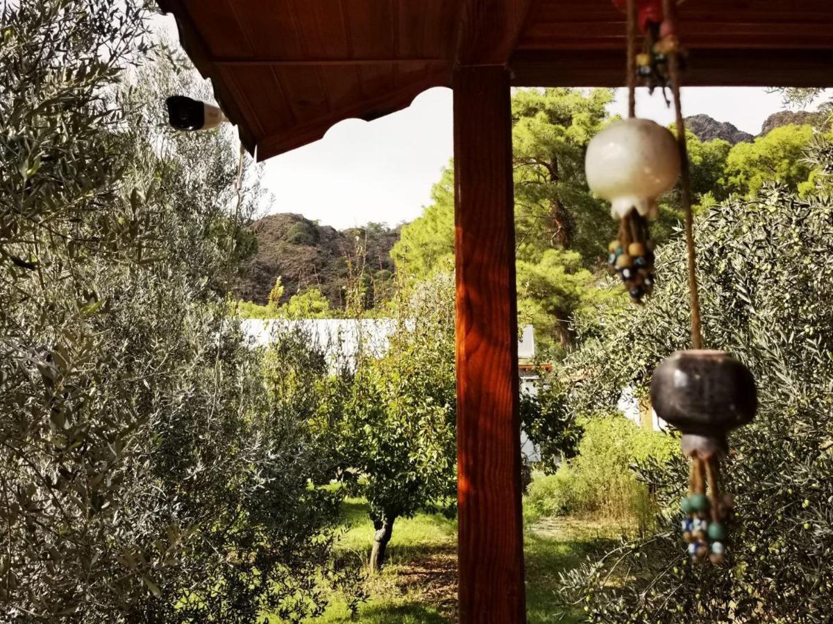 Appartement Seker Bungalov à Çıralı Extérieur photo