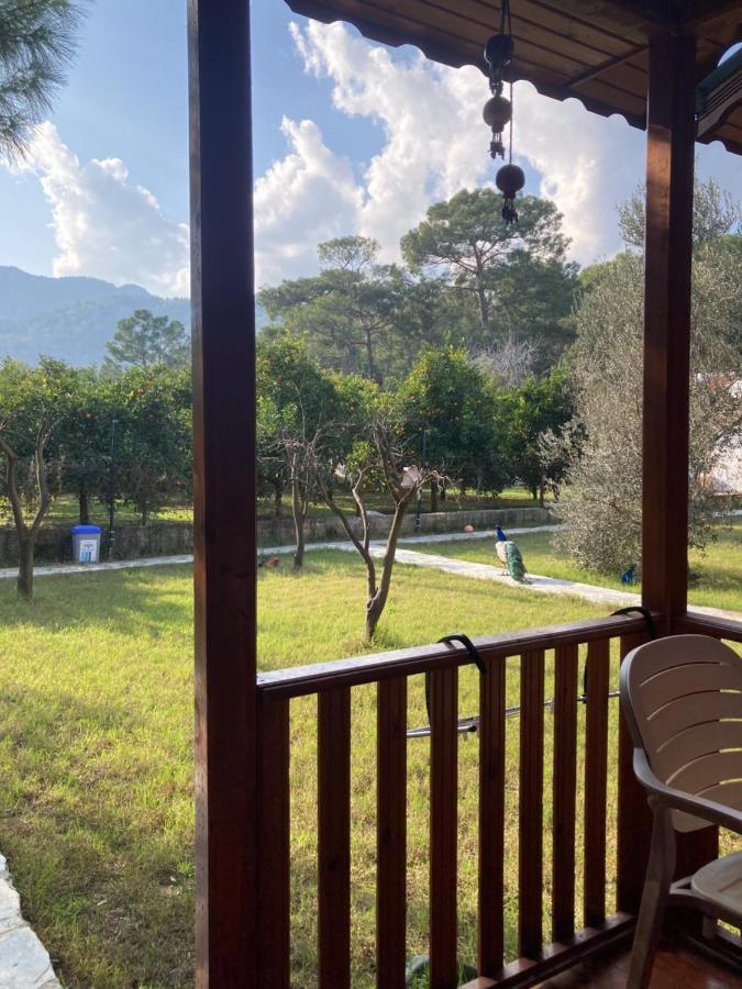 Appartement Seker Bungalov à Çıralı Extérieur photo